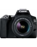 DSLR фотоапарат Canon - EOS 250D, EF-S 18-55mm, черен - 1t