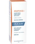 Ducray Anaphase+ Anacaps Комплект - Серум, Шампоан и Хранителна добавка, 100 + 200 ml + 30 капсули (Лимитирано) - 4t