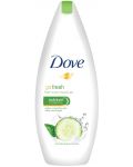Dove Душ гел Fresh Touch, 250 ml - 1t