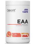EAA, грейпфрут, 400 g, OstroVit - 1t