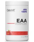 EAA, ягода, 400 g, OstroVit - 1t