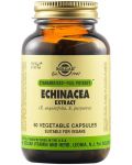 Echinacea Root & Leaf Extract, 60 растителни капсули, Solgar - 1t