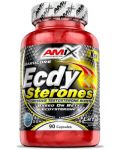 Ecdy Sterones, 90 капсули, Amix - 1t