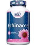 Echinacea, 250 mg, 60 капсули, Haya Labs - 1t