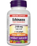 Echinacea, 90 капсули, Webber Naturals - 1t