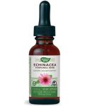 Echinacea Purpurea Herb, 500 mg, 30 ml, Nature's Way - 1t