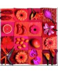 Пъзел Educa от 3 x 500 части - Екзотични цветя и плодове - 4t