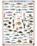 Пъзел Eurographics от 1000 части – Риба, миди и мекотели - 2t