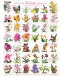 Пъзел Eurographics от 1000 части – Орхидеи - 2t