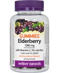 Elderberry + Vitamin C, D3 and Zinc, 60 таблетки, Webber Naturals - 1t
