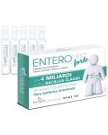 EnteroLife Forte con 4 Miliardi, 10 флакона, Paladin Pharma - 1t