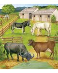 Енциклопедия за деца: Домашни и диви животни в България - 2t