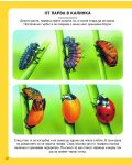 Енциклопедия на малките животни (Пан) - ново издание - 3t