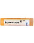 Enterococcinum 15CH, Boiron - 1t