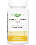 Energizing Iron, 90 капсули, Nature’s Way - 1t