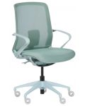 Ергономичен стол Carmen - 7061, зелен - 1t
