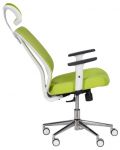 Ергономичен стол Carmen - Lorena Lux, зелен - 6t