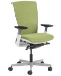 Ергономичен стол Carmen - Reina, зелен - 2t