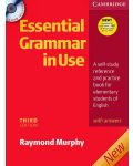Essential Grammar in Use + CD - 1t