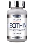 Essentials Lecithin, 1200 mg, 100 капсули, Scitec Nutrition - 1t