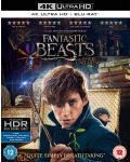 Fantastic Beasts And Where To Find Them (4K Ultra HD + Blu-Ray) - 1t