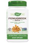 Fenugreek Seed, 320 капсули, Nature's Way - 1t