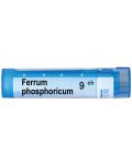 Ferrum phosphoricum 9CH, Boiron - 1t