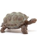 Фигурка Schleich Wild Life - Гигантска костенурка - 4t