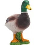 Фигурка Mojo Animal Planet - Зеленоглава патица - 2t