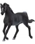 Фигура Schleich Horse Club - Арабски жребец, черен - 1t