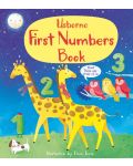 First Numbers Book - 1t