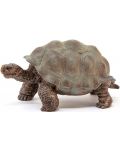 Фигурка Schleich Wild Life - Гигантска костенурка - 3t