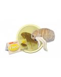 Плюшена играчка Бълха (Ctenocephalides Felis) - 2t