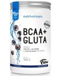 Flow BCAA + Gluta, касис, 360 g, Nutriversum - 1t