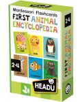 Флашкарти Headu Montessori - Моята първа енциклопедия за животни - 1t