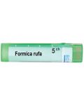 Formica rufa 5CH, Boiron - 1t