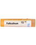 Folliculinum 15CH, Boiron - 1t