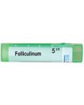 Folliculinum 5CH, Boiron - 1t