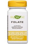 Folate, 800 mcg, 100 капсули, Nature’s Way - 1t