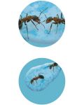 Изследователски комплект Buki Nature - Мини света на мравките - 4t