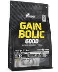 Gain Bolic 6000, ягода, 1000 g, Olimp - 1t