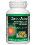 Gastro-Assist, 60 капсули, Natural Factors - 1t