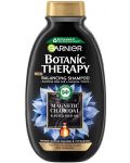 Garnier Botanic Therapy Шампоан за коса Magnetic Charcoal, 250 ml - 1t