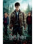 Макси плакат GB eye Movies: Harry Potter - Deathly Hallows (Key Art) - 1t