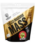 Massive Mass, дива ягода, 7 kg, Swedish Supplements - 1t