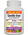 Gentle Iron, 150 капсули, Webber Naturals - 1t
