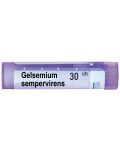Gelsemium sempervirens 30CH, Boiron - 1t