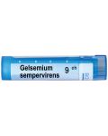 Gelsemium sempervirens 9CH, Boiron - 1t