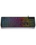 Гейминг клавиатура Genesis - Rhod 300, RGB, черна - 1t