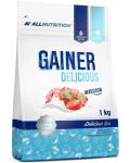 Gainer Delicious, strawberry ice cream, 1000 g, AllNutrition - 1t